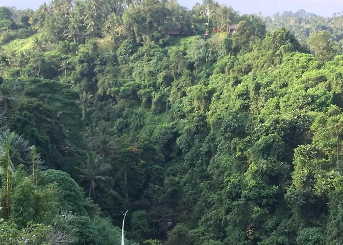 Chalet Bati Private Living Ubud