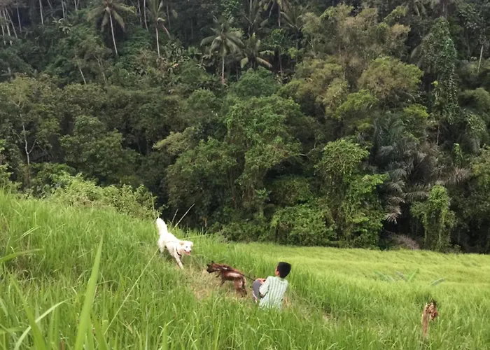 Chalet Bati Private Living Ubud